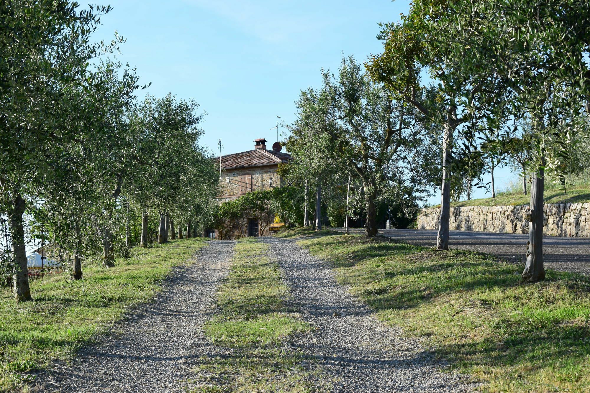 Agriturismo Amina, Winery & Hiking Vagliagli Eksteriør billede